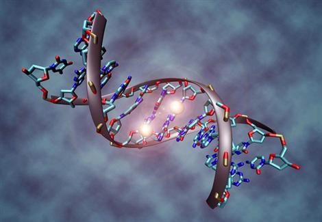 مادة كيميائية شائعة الاستخدام تدمر الحمض النووي للإنسان