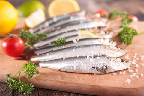 فوائد مذهلىة سمك السردين- احذر وأضراره