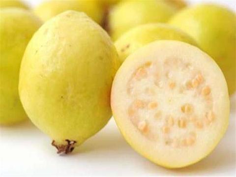 هل الجوافة تعالج النقرس؟