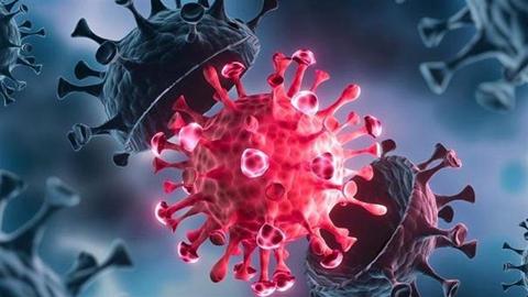 الحقيقة الكاملة- الكشف عن وثائق سرية حول تصنيع فيروس كورونا