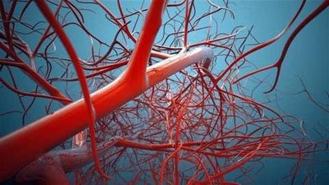 3 طرق سحرية لتنظيف الشرايين والأوعية الدموية