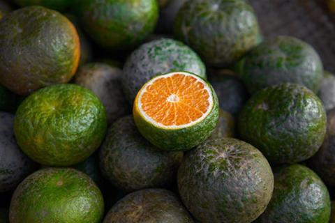 البرتقال الأخضر للحامل- مفيد أم مضر؟