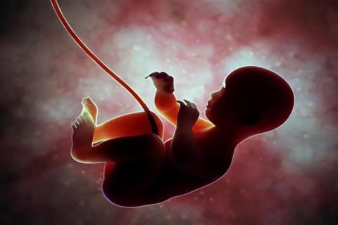 كيف تكتشف الحامل تأخر نمو الجنين داخل الرحم؟