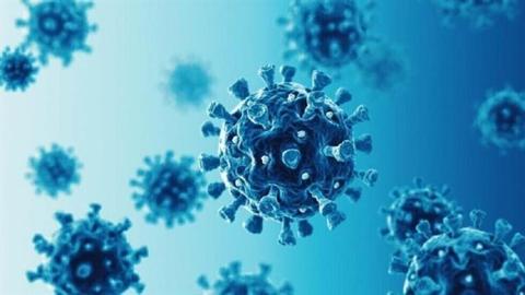 ما حقيقة الفيروس التنفسي المنتشر حاليًا؟