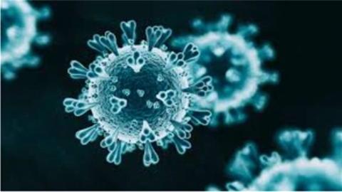 تحذيرات من فيروس خطير- هل سيواجه العالم وباءً