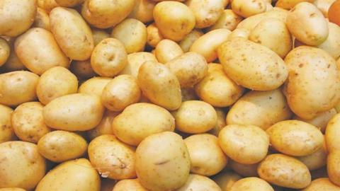 هل البطاطس ترفع سكر الدم؟